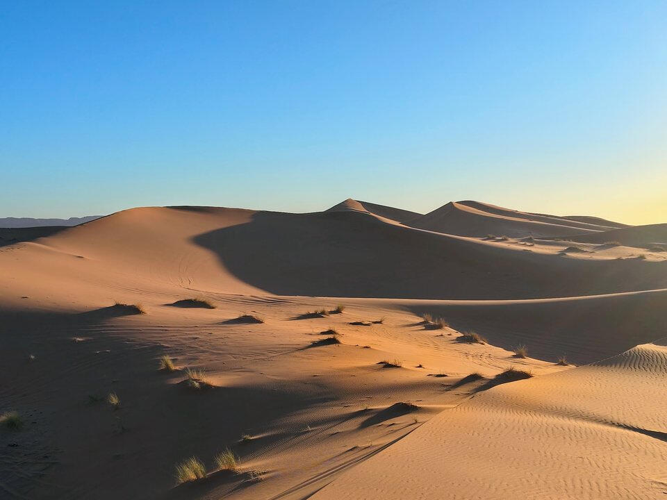 Dunes du Sahara