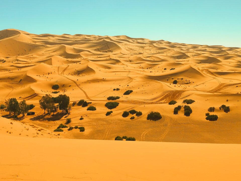 Dunes et palmeraie